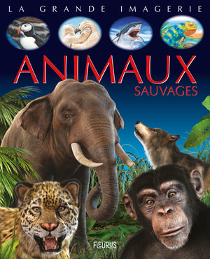 Animaux sauvages