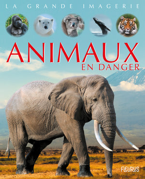 Animaux en danger