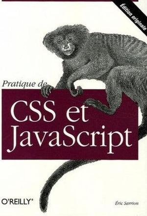 Pratique de CSS et JavaScript