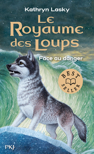 Le royaume des loups - tome 5 : Face au danger