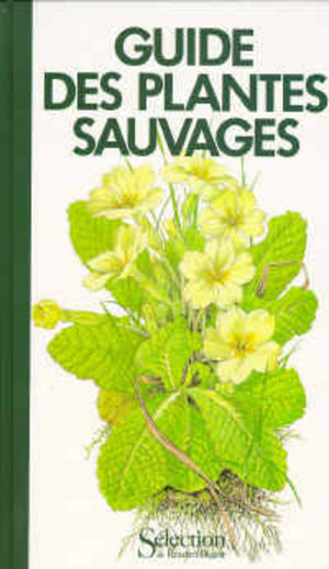 Guide des plantes sauvages