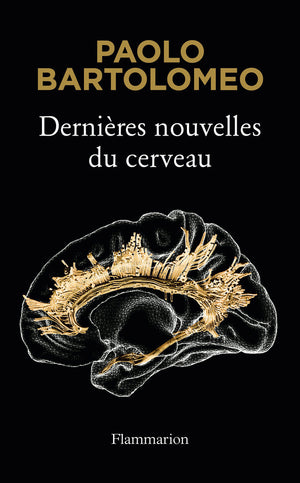 Dernières nouvelles du cerveau