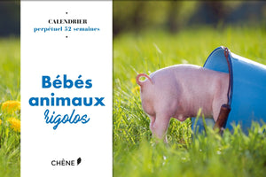 Calendrier 52 semaines bébés animaux rigolos