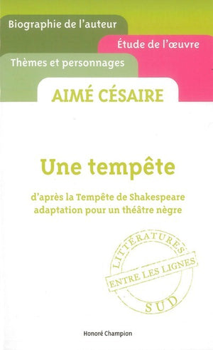 Une tempête