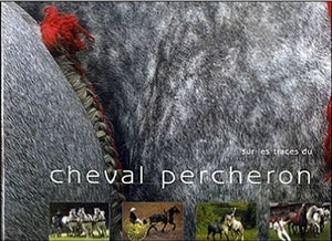 Sur les traces du cheval percheron