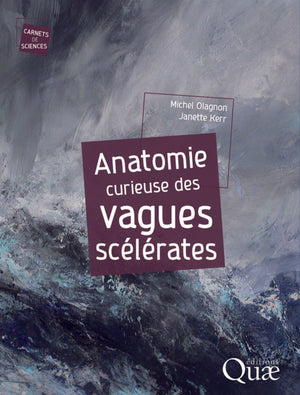 Anatomie curieuse des vagues scélérates