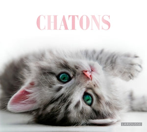 Chatons