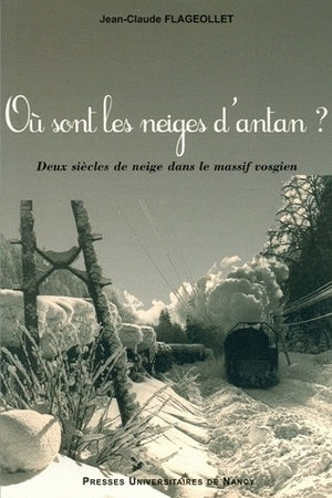 Où sont les neiges d'antan ?