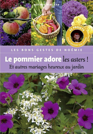 Pommier adore les asters !