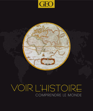 Voir l'histoire comprendre le monde