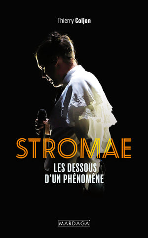 Stromae: Les dessous d'un phénomène