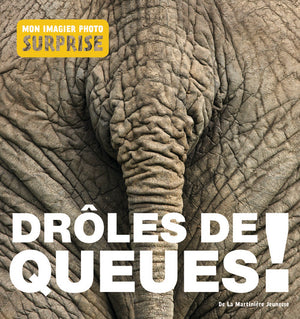 Drôles de queues