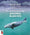 Boucar raconte, Tome 1 : Le brunissement des baleines blanches