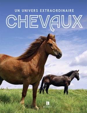 Chevaux. Un univers extraordinaire