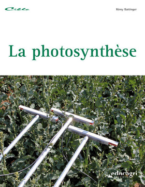 La photosynthèse