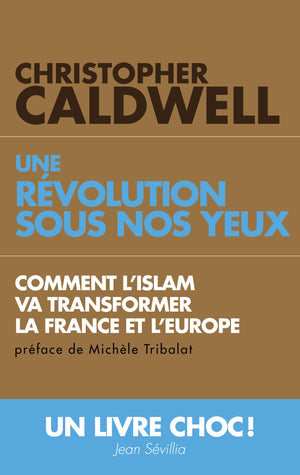 Une révolution sous nos yeux : Comment l’islam va transformer la France et l’Europe