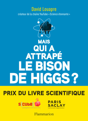 Mais qui a attrapé le bison de Higgs?: ... et autres questions que vous n'avez jamais osé poser à haute voix