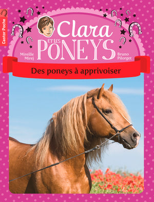 Des poneys à apprivoiser