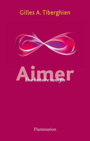 Aimer: Une histoire sans fin