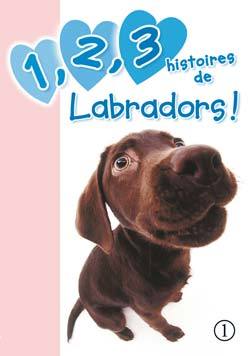 1, 2, 3 histoires de Labradors !