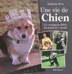 Une vie de chien