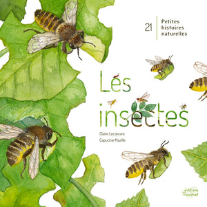 Les insectes