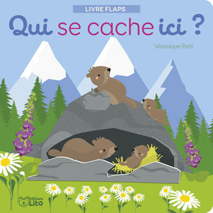 Qui se cache ici ? Les animaux de la montagne