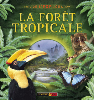 Forêt tropicale