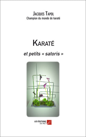 Karaté et petits satoris