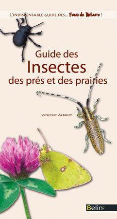 Guide des insectes des prés et des prairies