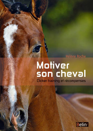 Motiver son cheval - Clicker et récompenses