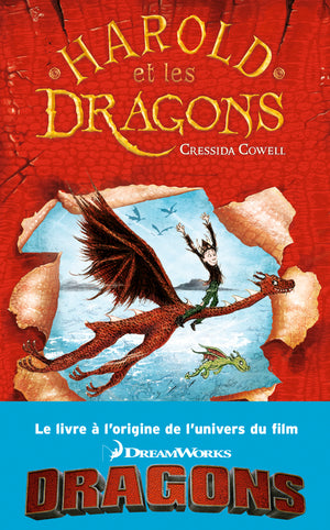 Comment dresser votre dragon