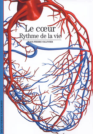 Le cœur: Rythme de la vie