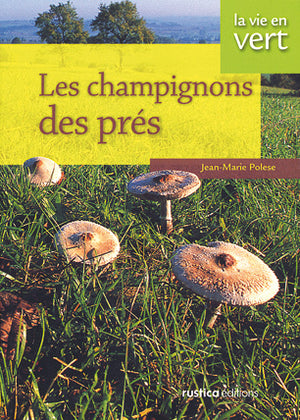 Vie en vert : Champignons des prés