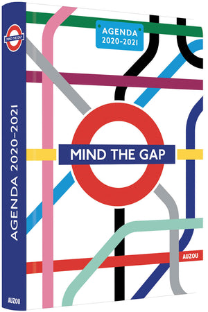 AGENDA MIND THE GAP