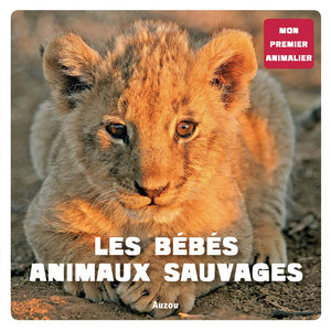 Les bébés animaux sauvages