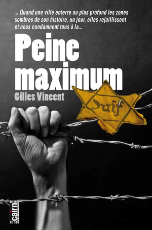 Peine maximum