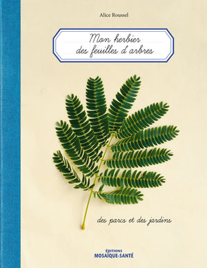 Herbier des feuilles d'arbres des parcs et des jardins