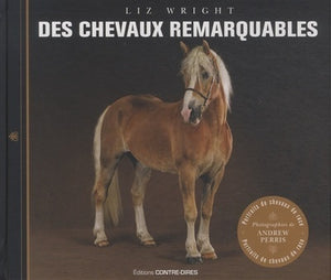 Des chevaux remarquables