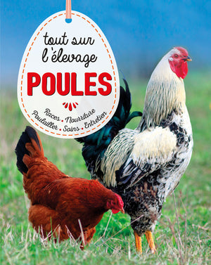 Poules, tout savoir sur l'élevage