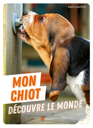 Mon chiot découvre le monde