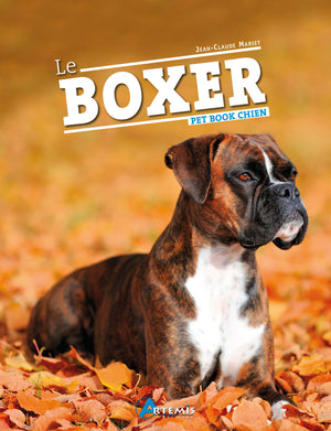 Le Boxer