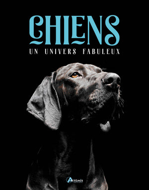 Chiens, un univers fabuleux