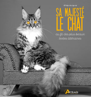 Sa majesté le chat