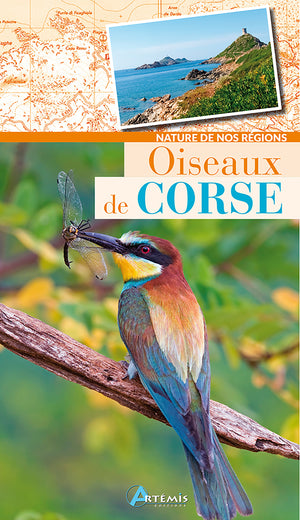 Oiseaux de Corse