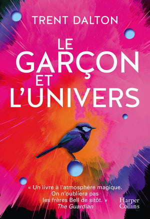 Le garçon et l'univers