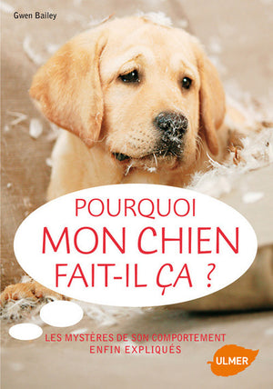 Pourquoi mon chien fait-il ça?