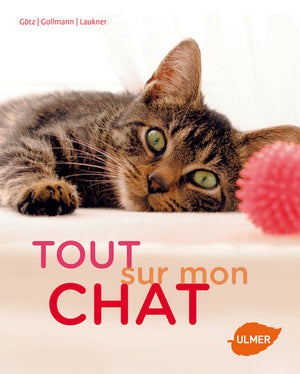 Tout sur mon chat