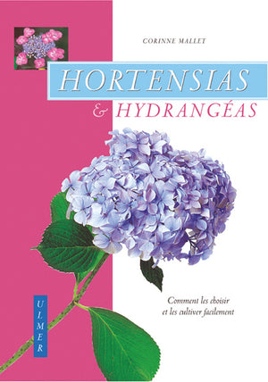 Hortensias et hydrangéas