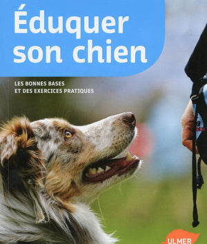 Eduquer son chien